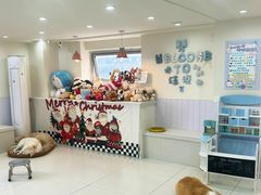 -汪说·狗咖·拼豆·宠物周边DIY(旺城大厦店)