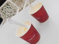 -哈根达斯(武汉天地店)