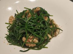 沙葱-九十九顶毡房(阜石路店)