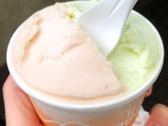 -DIP in GELATO(富民路店)