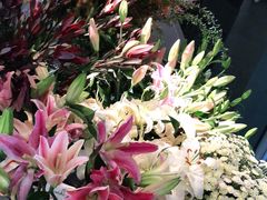 -春暖花开(西溪店)