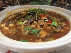 -巢湖名吃·东关老鹅汤(江南风情街店)