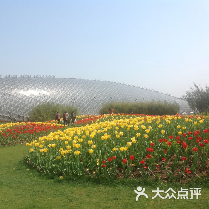 上海辰山植物园2015图片-北京植物园-大众点评网