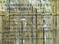 -西双版纳原始森林公园