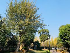 -艾溪湖湿地公园