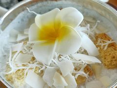 -大理老字号·舟渔的鱼野生菌海景餐厅(双廊店)