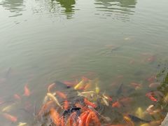 -团结湖公园