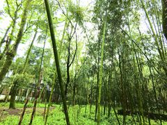 -西溪南古村落景区
