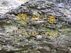 -黄山翡翠谷景区