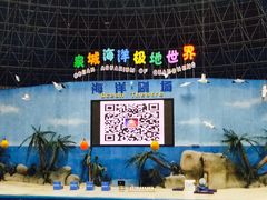 -泉城欧乐堡海洋极地世界
