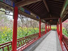 -南汇桃花村