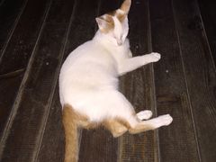 -星宿秘码(鼓浪屿老店)