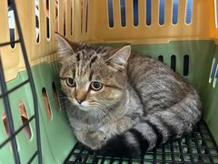 -派美特宠物医院·核磁CT·骨科肿瘤·疑难转诊(沈农禾丰店)