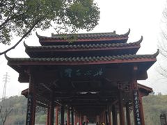 -重庆彩云湖湿地公园