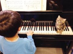 -The ONE 智能钢琴教室音乐恋琴吧·青岛市海玖玖艺术培训学校