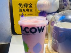 -一只酸奶牛(捞沙巷店)