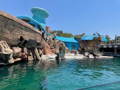 -大连老虎滩海洋公园