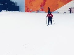 -哈尔滨热雪奇迹