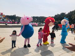 -上海鲜花港