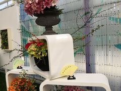 -上海鲜花港