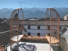 -喵屿·大理花园猫咖