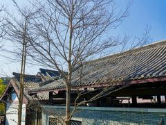 -飞凤山奥体公园