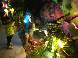 -恐龙探索乐园(磁器口店)