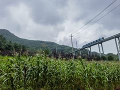 -玉舍国家森林公园
