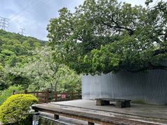 -黄公望隐居地
