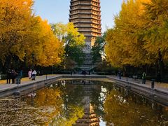 -玲珑塔公园
