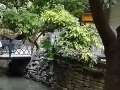 -小洲村