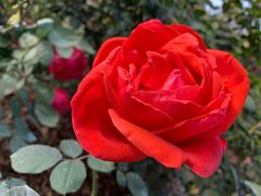 -人民公园(罗湖区)