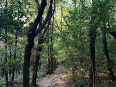 -虞山风景区