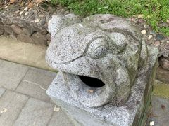 -磐安舞龙峡景区