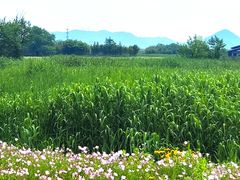 -良渚古城遗址公园