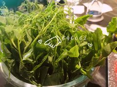 -王家渡火锅(金宝汇店)