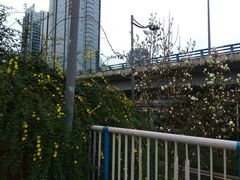 -两江幸福广场