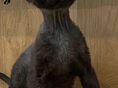 -星巴克(北京建威大厦店)