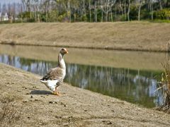 android_upload_pic-上海海湾国家森林公园