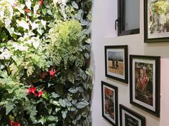 -Peet's Coffee皮爷咖啡(大学路店)