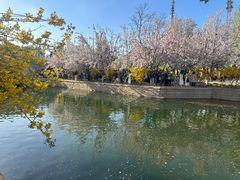 -元大都城垣遗址公园