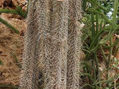 -南通洲际绿博园