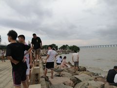 -宝安西湾红树林湿地公园