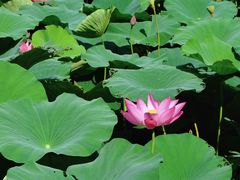 -上海市龙华烈士陵园