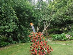 -上海共青森林公园