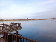 -天津东丽湖风景区