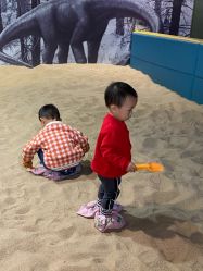 -恐龙探索乐园(磁器口店)