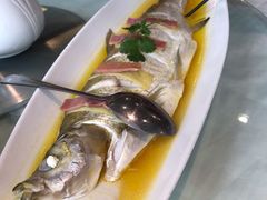-一麦·龙岛(上海青浦店)
