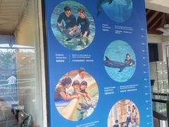 -新加坡水上探险乐园