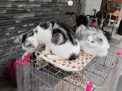 -广州十甫voco酒店